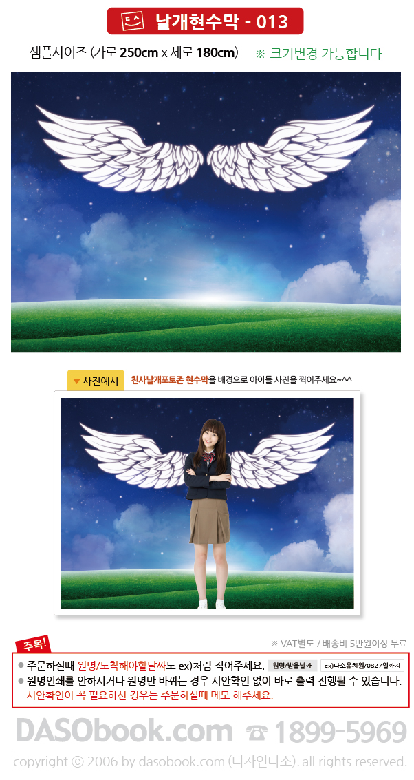 wing_013_250x180_SP.jpg"
